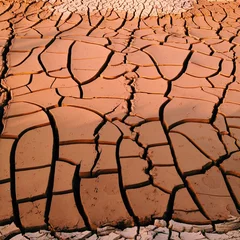 Foto op Canvas Dried Soil / Mud Cracks © thanwan