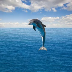 Abwaschbare Fototapete Delfin einzelner springender Delphin