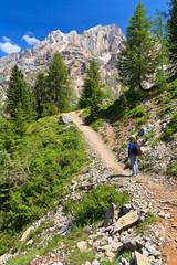 Fototapeta na wymiar Dolomiti - hiker in Contrin Valley