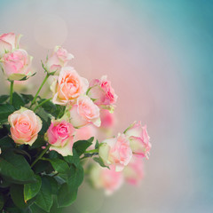 bouquet of pink  roses