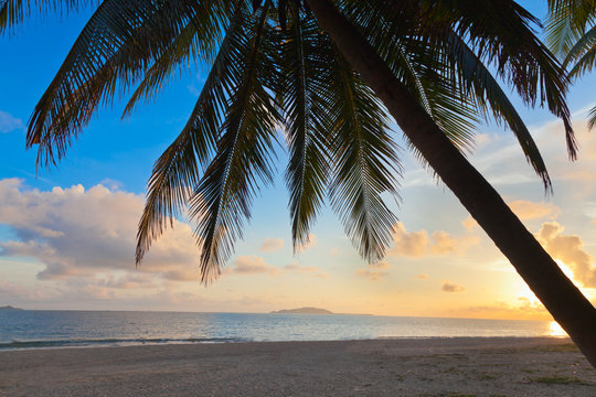 sea sunset  palm beach summer