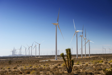Wind turbines generating electricity in Americas desert