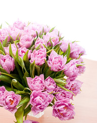 Obraz premium Beautiful purple tulips