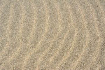 Fototapeta na wymiar Shapes in the sand