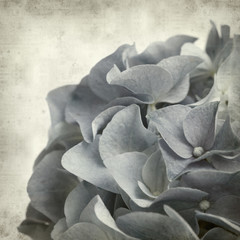 textured old paper background with