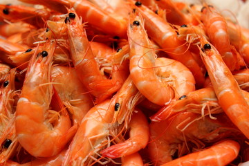boiled Shrimp