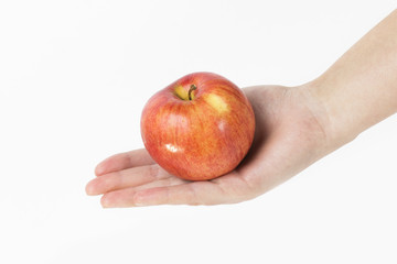 apple on the white background