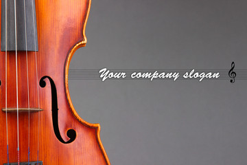 Classical violin on grey background © Africa Studio