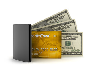 Leather wallet, dollars and credit card