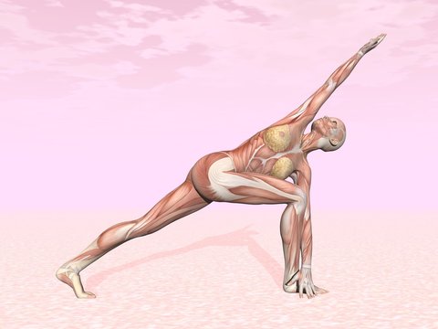 Revolved side angle yoga pose for woman