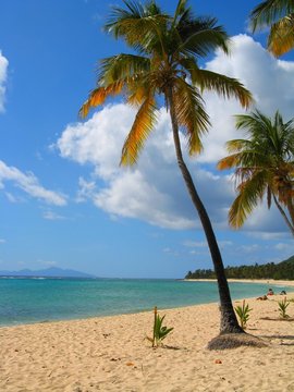 Plage de la Feuill&egrave;re, Capesterre de Marie-Galante