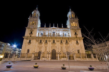Fototapeta premium Jaen Cathedral