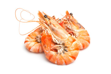 tiger shrimps