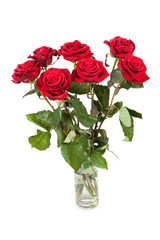 Three fresh red roses over white background