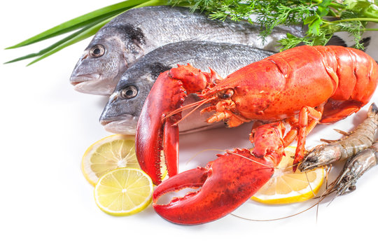 sea food on white background