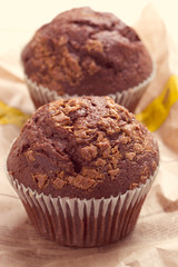 two chocolate muffins
