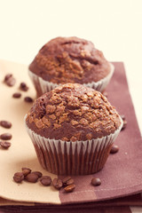 two chocolate muffins