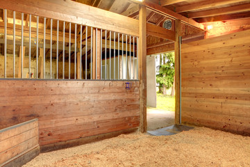 Horse stable barn stall - obrazy, fototapety, plakaty