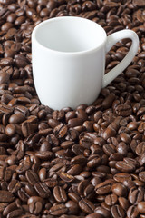 Einzelne Espressotasse steht zwischen Kaffeebohnen