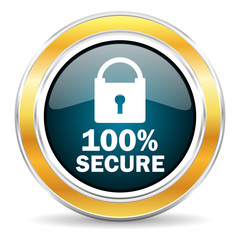 secure icon