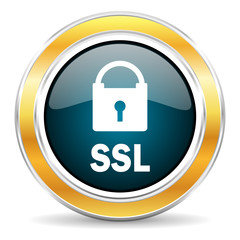 ssl icon