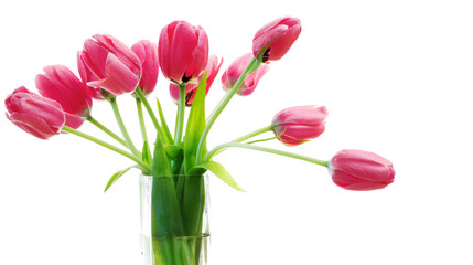 pink tulips inside glass vase