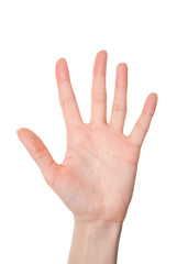 Isolated female hand showing number five