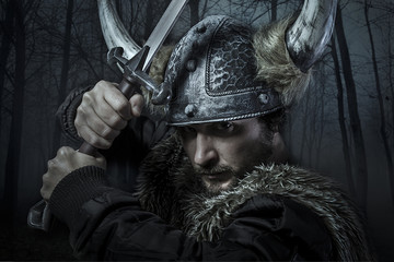 Viking warrior, male dressed in Barbarian style with sword, bear
