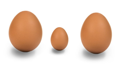 Eier Familie