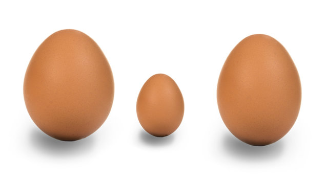 Eier Familie