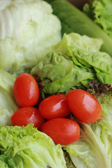 Green salad with fresh tomatoes, red.