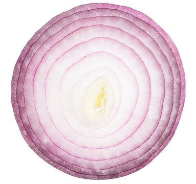 red or purple onion slice isolated on white