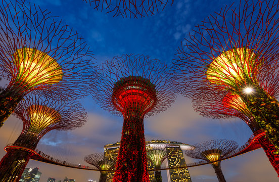 Big trees at night, Singapour