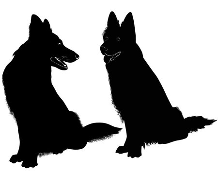 recommend clip art: Shepherd Dog dog animal
