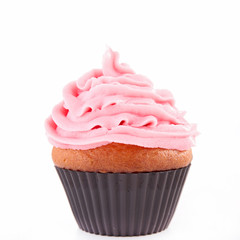 cupcake isolated