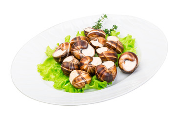Escargot