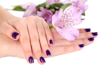 Beautiful woman hands with flowers isolated on white