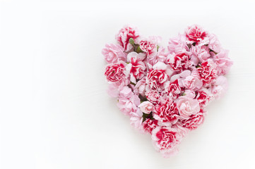 カーネーション　ハート