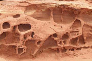 alvéoles de parois rocheuse à canyonlands