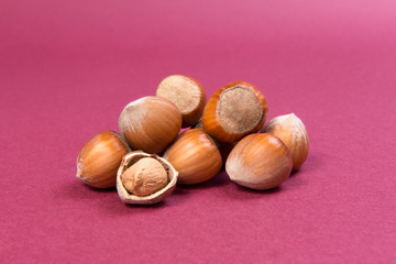 Hazelnut pile on pink texture