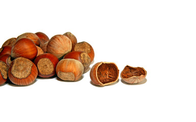 Fototapeta premium Hazelnuts and splintered nuts isolated