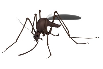 realistic 3d render of mosquito
