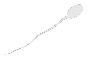 cartoon image of sperm cell