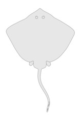 cartoon image of sting ray