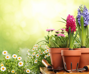 Gardening tools and flowers