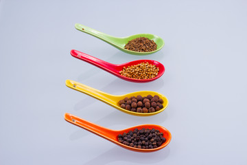 Spices in the colored spoons