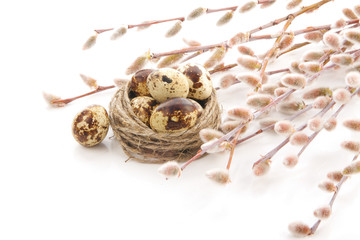 eggs and willow