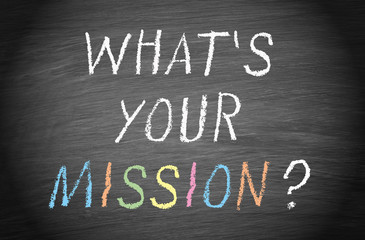 What is your mission ?