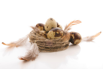quail eggs