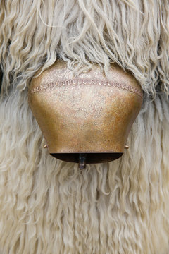 Kurent's cow bell and sheep's wool